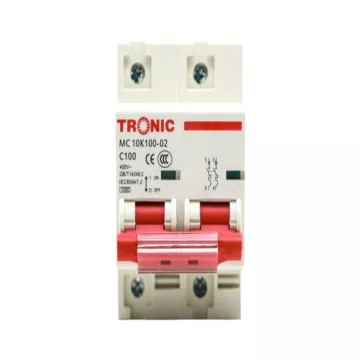  MCB 100A DP